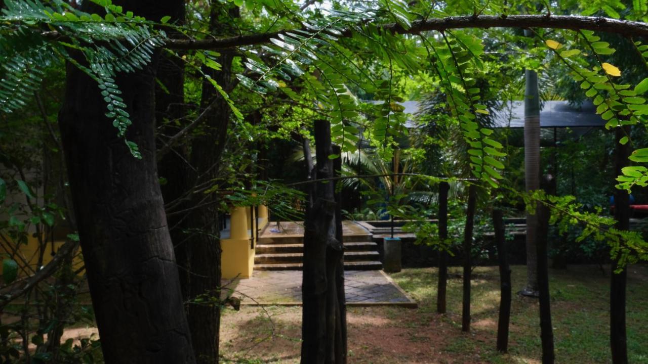 Mind Body And Soul Hotel ดัมบูลลา ภายนอก รูปภาพ